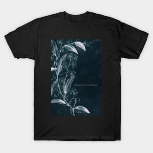 Cyanotype - Smilax Pseudosyphilitica - C T-Shirt